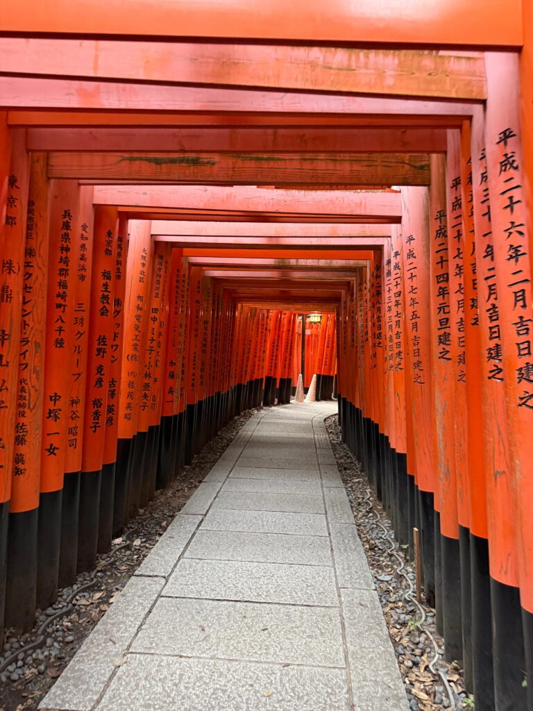 WhatsApp Image 2025-11-03 at 10.56.00 AM